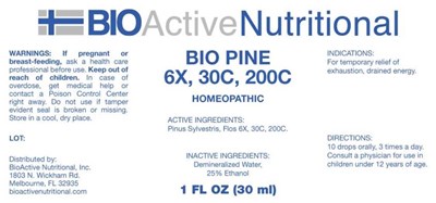 BANI0209 Bio Pine 6X, 30C, 200C 6-22-18.jpg BANI0209 Bio Pine 6X, 30C, 200C 6 22 18